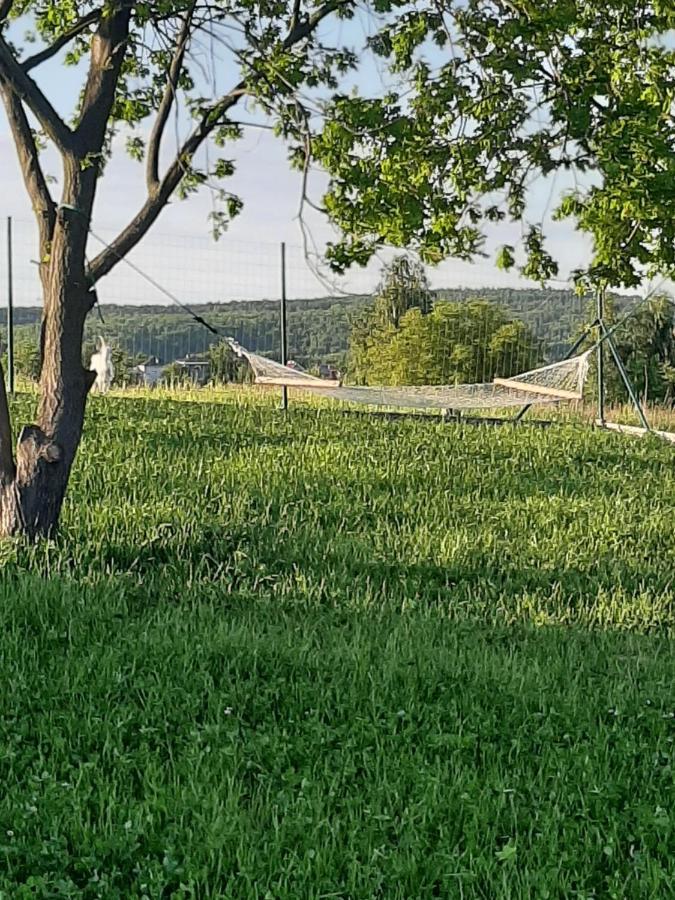 Gosp. Agroturystyczne Stary Gaj Villa Zerkowice Eksteriør bilde