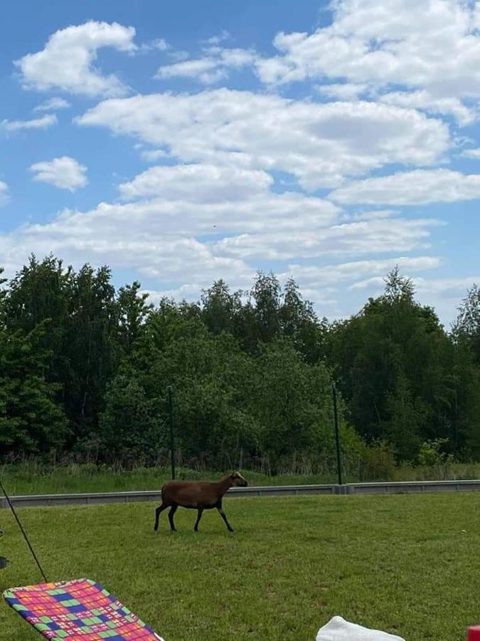 Gosp. Agroturystyczne Stary Gaj Villa Zerkowice Eksteriør bilde