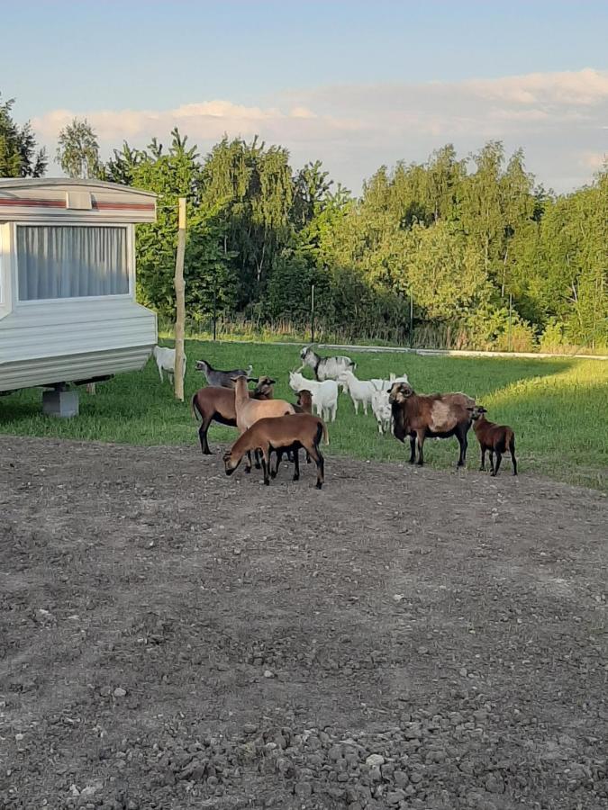 Gosp. Agroturystyczne Stary Gaj Villa Zerkowice Eksteriør bilde