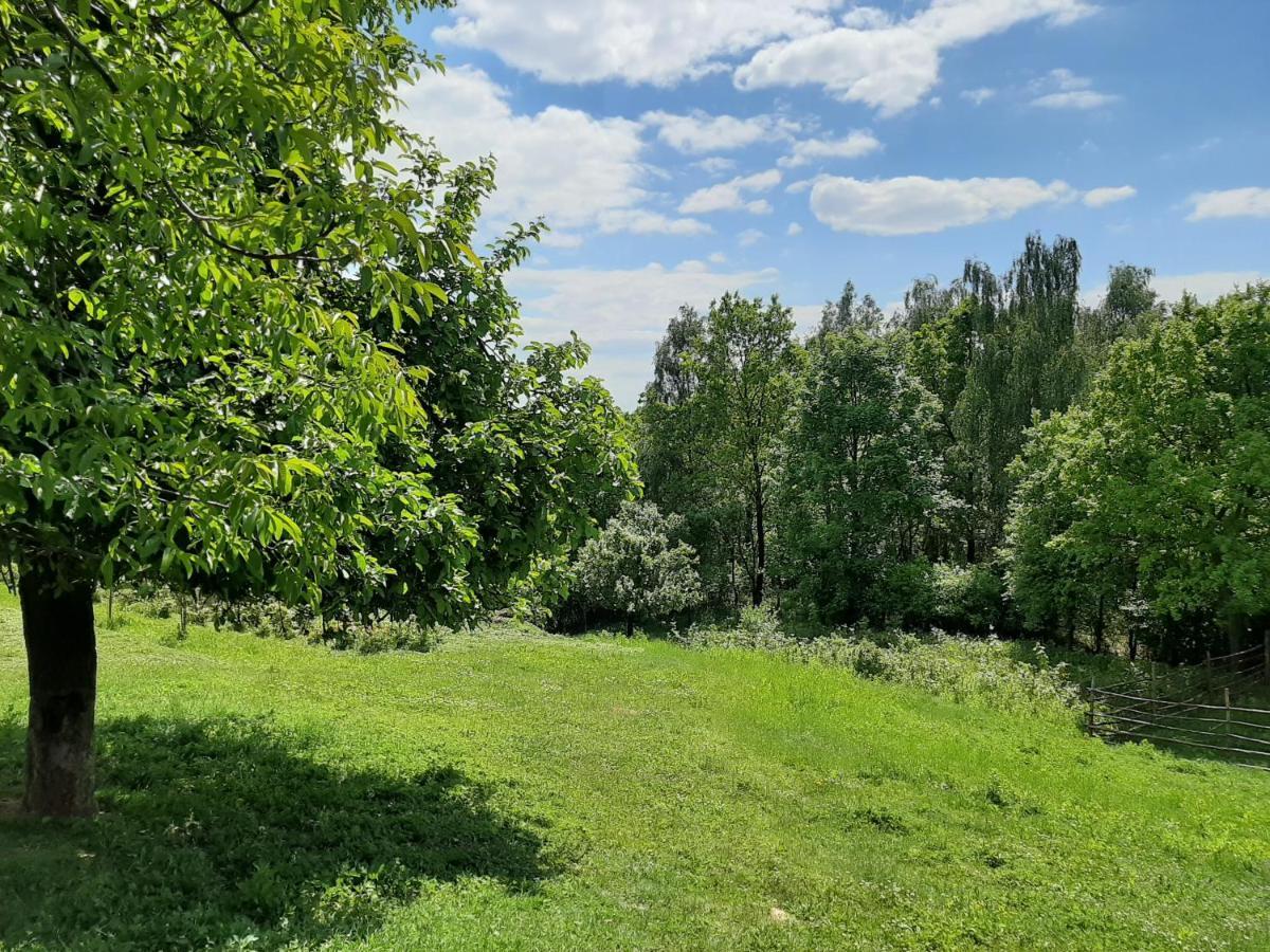 Gosp. Agroturystyczne Stary Gaj Villa Zerkowice Eksteriør bilde