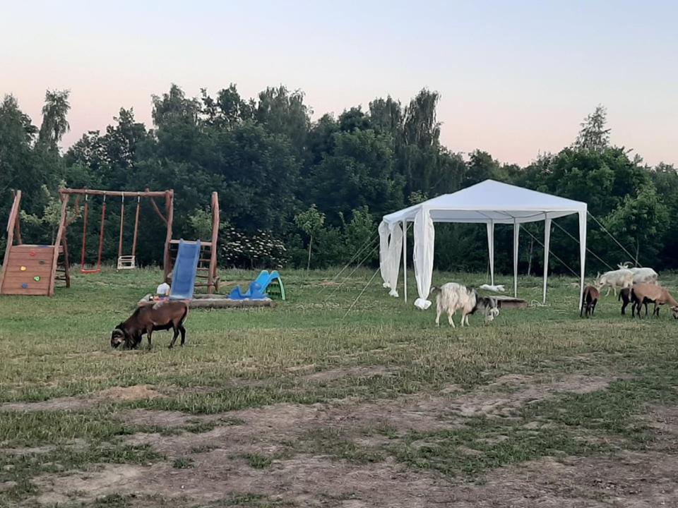 Gosp. Agroturystyczne Stary Gaj Villa Zerkowice Eksteriør bilde