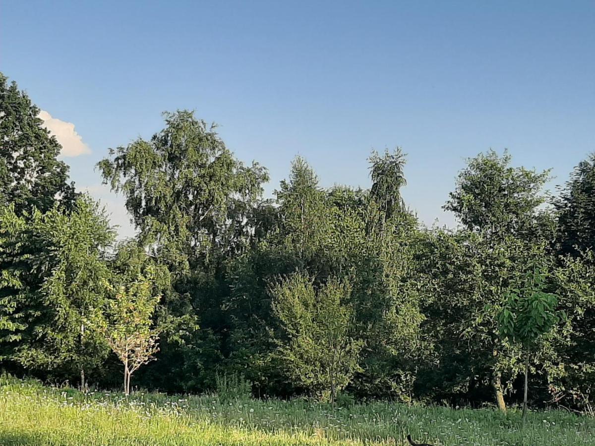 Gosp. Agroturystyczne Stary Gaj Villa Zerkowice Eksteriør bilde